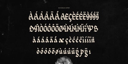 Delkota Font Poster 11