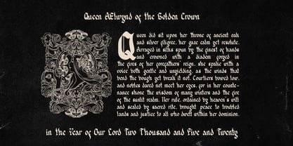 Delkota Font Poster 4