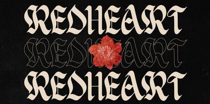 Delkota Font Poster 2