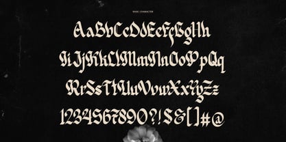 Delkota Font Poster 10
