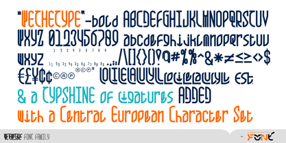 We The Type Font Poster 12