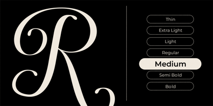 Dh Finola Font Poster 4