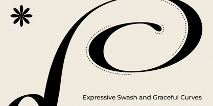 Dh Finola Font Poster 5