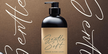 Dignity Justice Font Poster 2