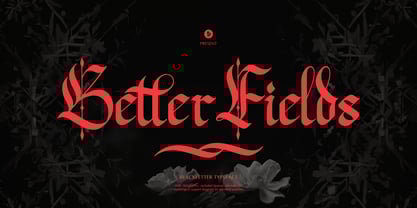 Better Fields Font Poster 1
