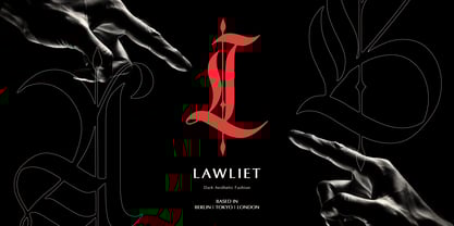 Better Fields Font Poster 3