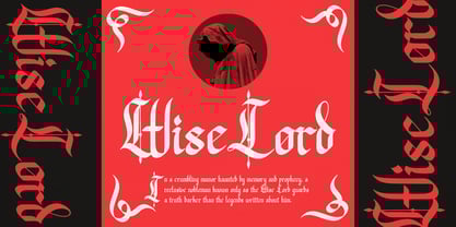 Better Fields Font Poster 5