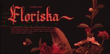 Better Fields Font Poster 4