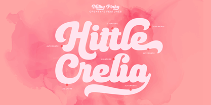 Milky Pinky Font Poster 9