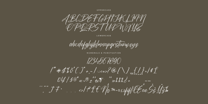 Butnekia Font Poster 6