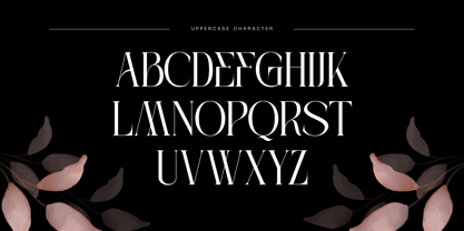 Kalieb Luxury Font Poster 6
