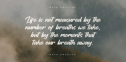 Bolinker Quantum Font Poster 3