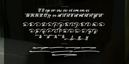 Bolinker Quantum Font Poster 8