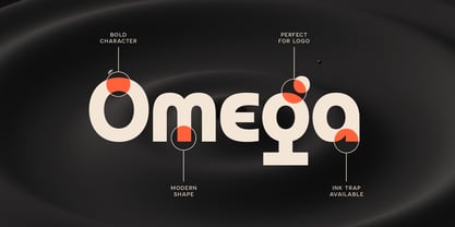Neue York Font Poster 9