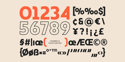 Neue York Font Poster 11