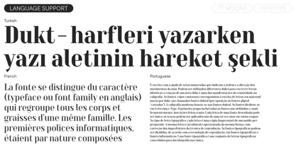 TT Moons Font Poster 8