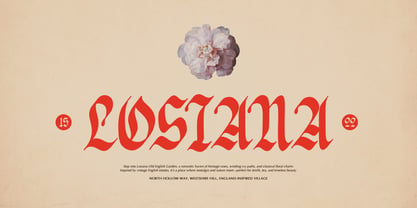 Braffyon Font Poster 3