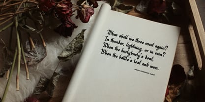 Braffyon Font Poster 2
