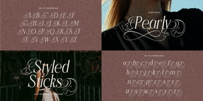 Flyhayer Font Poster 8