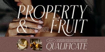 Flyhayer Font Poster 4