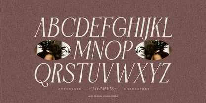 Flyhayer Font Poster 6