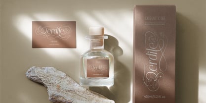 Flyhayer Font Poster 11