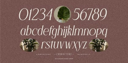 Flyhayer Font Poster 10