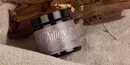 Flyhayer Font Poster 13