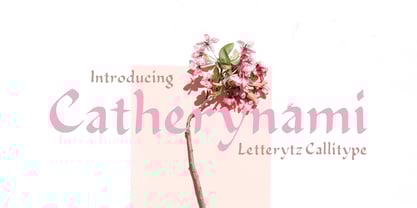 Catherynami Font Poster 1