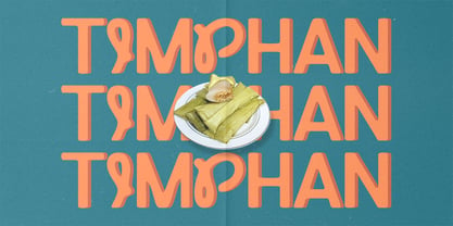 Sanger Font Poster 6