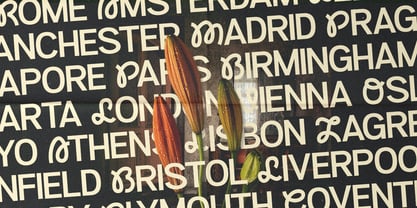 Sanger Font Poster 14