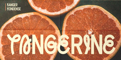 Sanger Font Poster 10