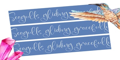 Sparkle Perfection Font Poster 6