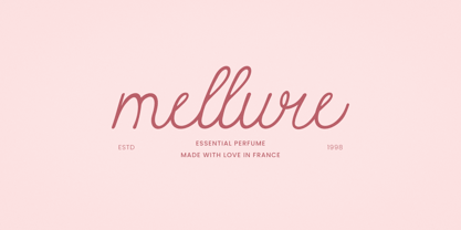 Bluselle Font Poster 4