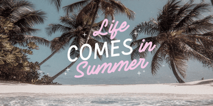 Tourist Guide Font Poster 7