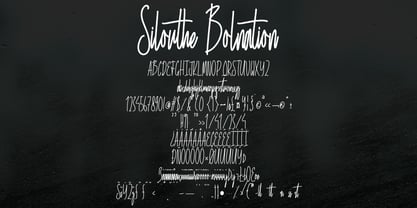 Silouthe Bolnation Font Poster 5