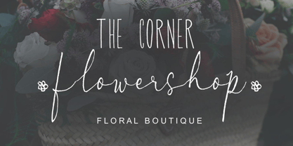 Albino Lovebird Font Font Poster 3