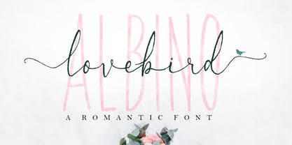 Albino Lovebird Font Font Poster 1