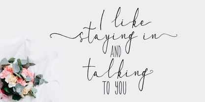 Albino Lovebird Font Font Poster 6