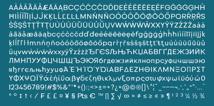 Nuvica Font Poster 7