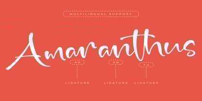 Magnolia Agapanthus Font Poster 11