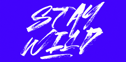 Soge Brush Font Poster 5