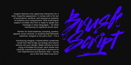 Soge Brush Font Poster 3