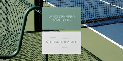 Twist Glimpse Font Poster 15