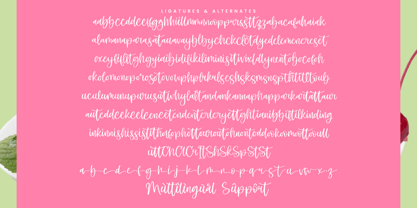 Shelter Melody Font Poster 14