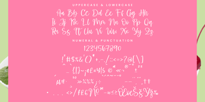 Shelter Melody Font Poster 15