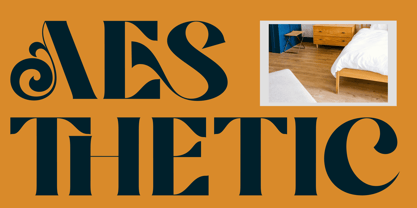 Roman Avenue Font Poster 5