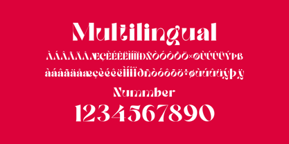 Roman Avenue Font Poster 14