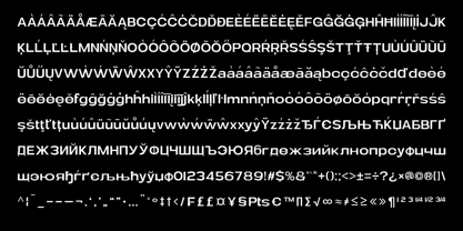 Menirva Font Poster 7