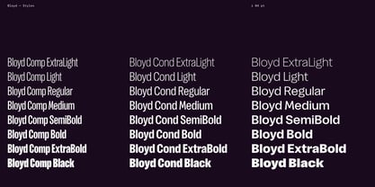Bloyd Font Poster 3